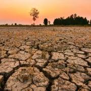 The evening sun shone on the barren and cracked ground. Elniyo phenomenon in the tropical region of Southeast Asia